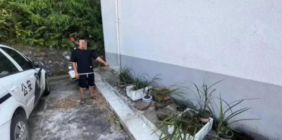 ​陈某某，采野花，获刑！