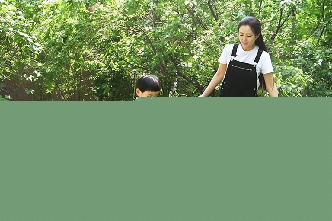 34岁时早产生子，私生活神秘却幸福，杨童舒：我老公不是于和伟