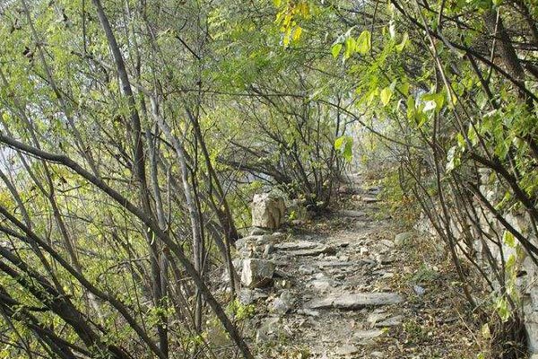 灵灵的雨封门村视频始末 那个白衣女鬼是她消失的理由？