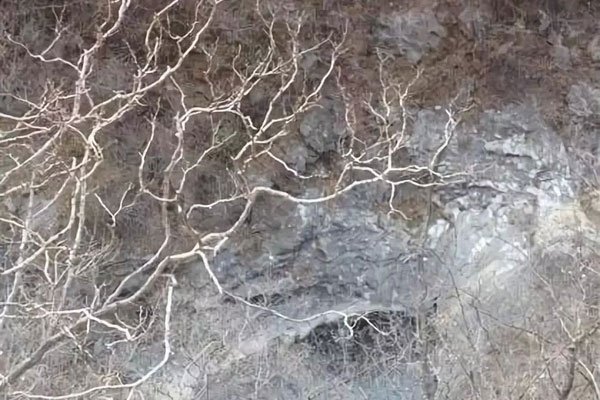 灵灵的雨封门村视频始末 那个白衣女鬼是她消失的理由？