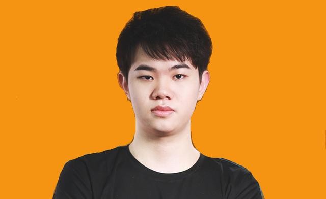 买菜车是什么意思（GR卡罗拉才是最强买菜车）