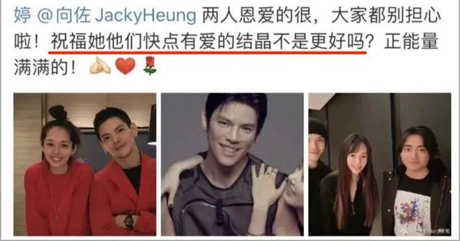 向佐被打事件真相