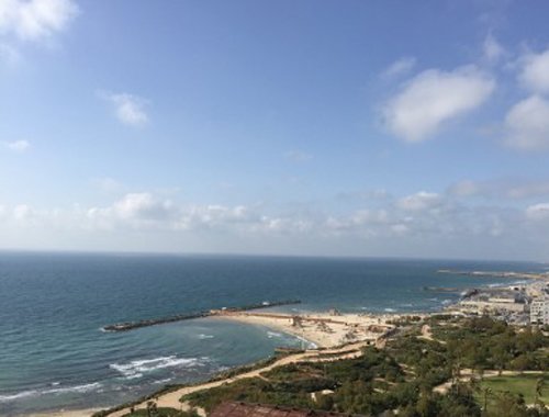 “变性舞蹈家”金星与汉斯的爱情故事