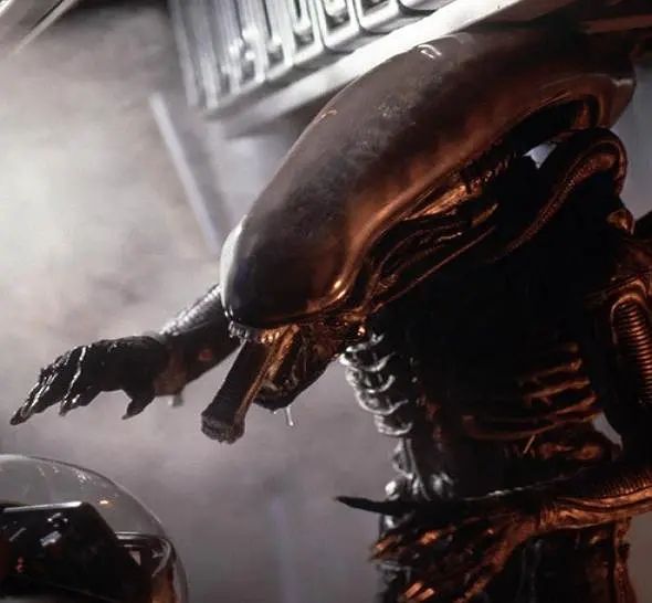 评分9.0以上的恐怖电影（推荐10部高评分的恐怖电影）