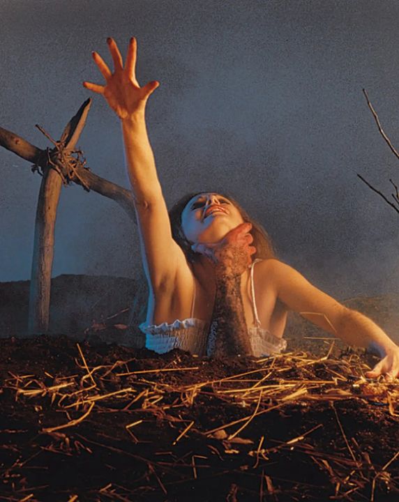 美国丧尸电影（口碑最好的10部美国丧尸片）