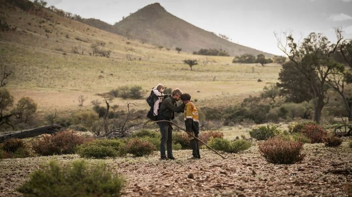 美国丧尸电影（口碑最好的10部美国丧尸片）