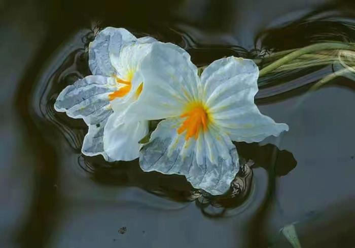 老婆这次离婚已经铁了心了（铁了心想离婚会有以下这些表现）