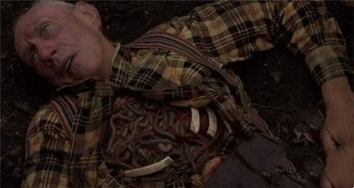 全球前十大恐怖电影(经典的恐怖片排行榜)(10)_