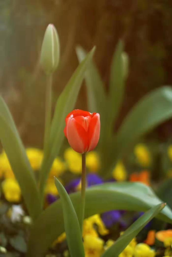 老公一吵架就离家出走（为什么吵架后我老公爱离家出走）