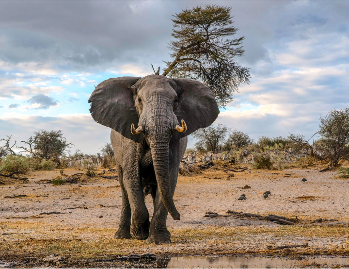 拍照比较好的手机排名（最高清的拍照手机前4名）