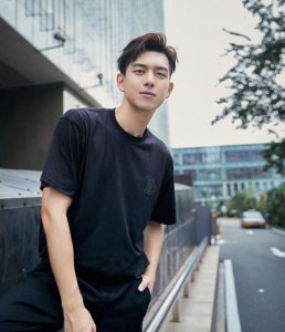 ​李现为什么突然就火了(李现事件是怎么回事)