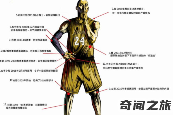 科比的遗体已找到（只能靠着DNA才能验证科比的身份）(1)_