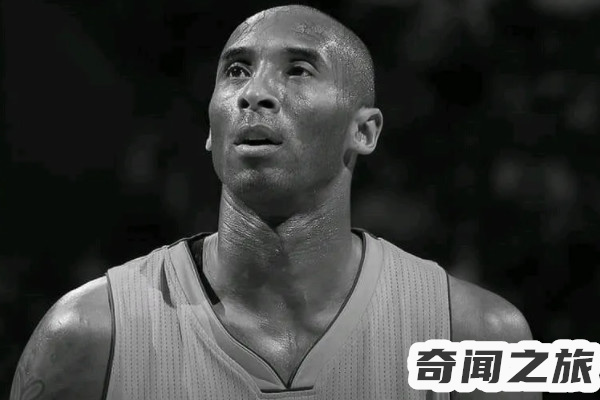 科比的遗体已找到（只能靠着DNA才能验证科比的身份）(3)_