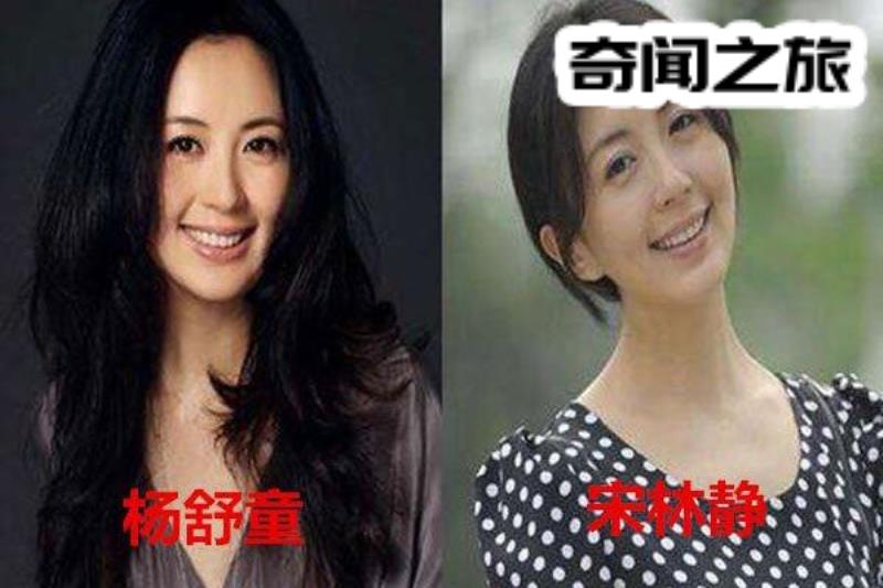 宋林静和杨童舒对比照片（杨童舒为什么和宋林静长得那么像）(3)_