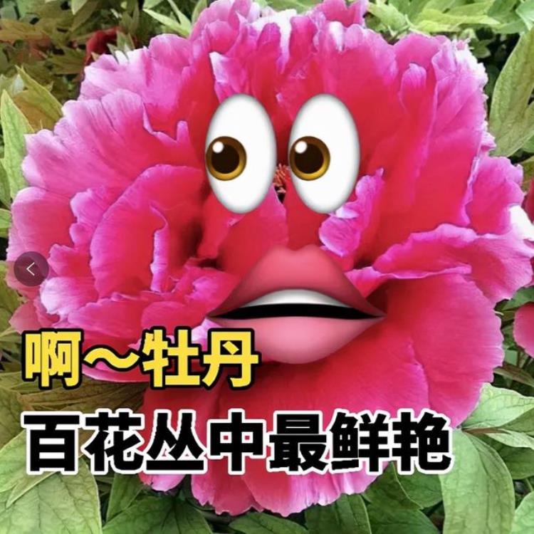 为什么大学生不谈恋爱「为什么大学生不谈恋爱」