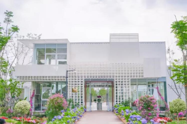 为什么大学生不谈恋爱「为什么大学生不谈恋爱」