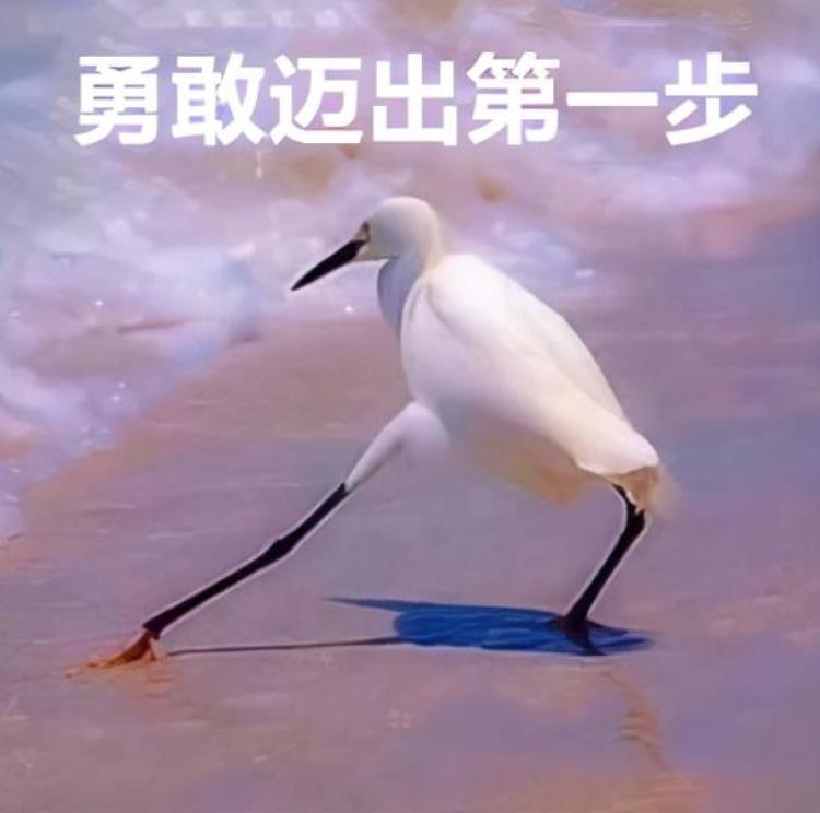 为什么大学生不谈恋爱「为什么大学生不谈恋爱」