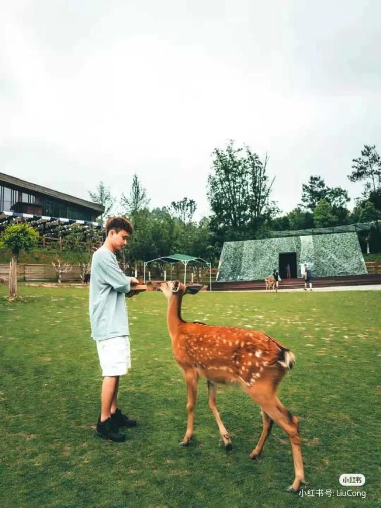 为什么大学生不谈恋爱「为什么大学生不谈恋爱」