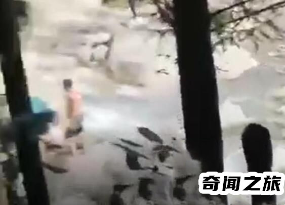 目击者讲述四川景区山洪爆发（很多人为了进去玩还把铁丝网弄烂）(5)_