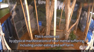 ​眼界放宽，2023 年的天降紫微星恐怕是他们！