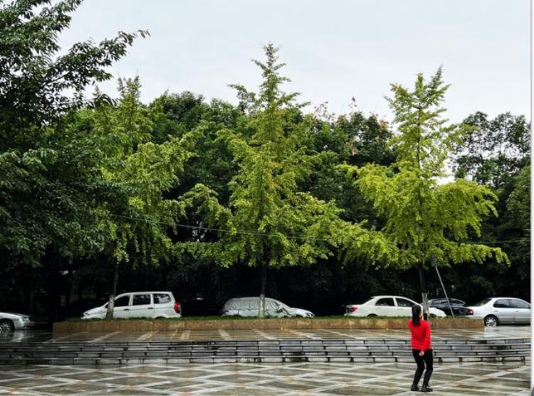 成都地铁6号线上的公园「琉璃场的森林公园成都6号地铁线的故事」