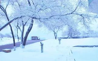 四季分别是哪几个月（春夏秋冬大自然四个季节的介绍）