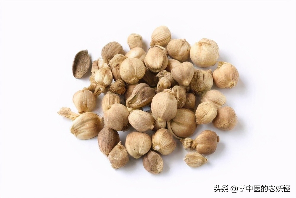 豆蔻是什么植物（豆蔻不仅是成语还是一味化湿药）