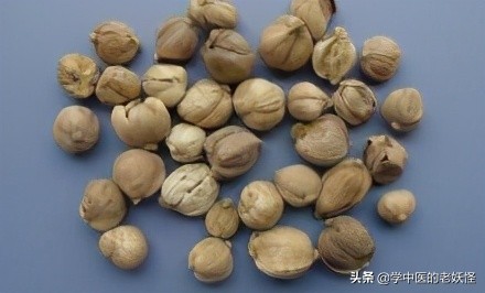 豆蔻是什么植物（豆蔻不仅是成语还是一味化湿药）