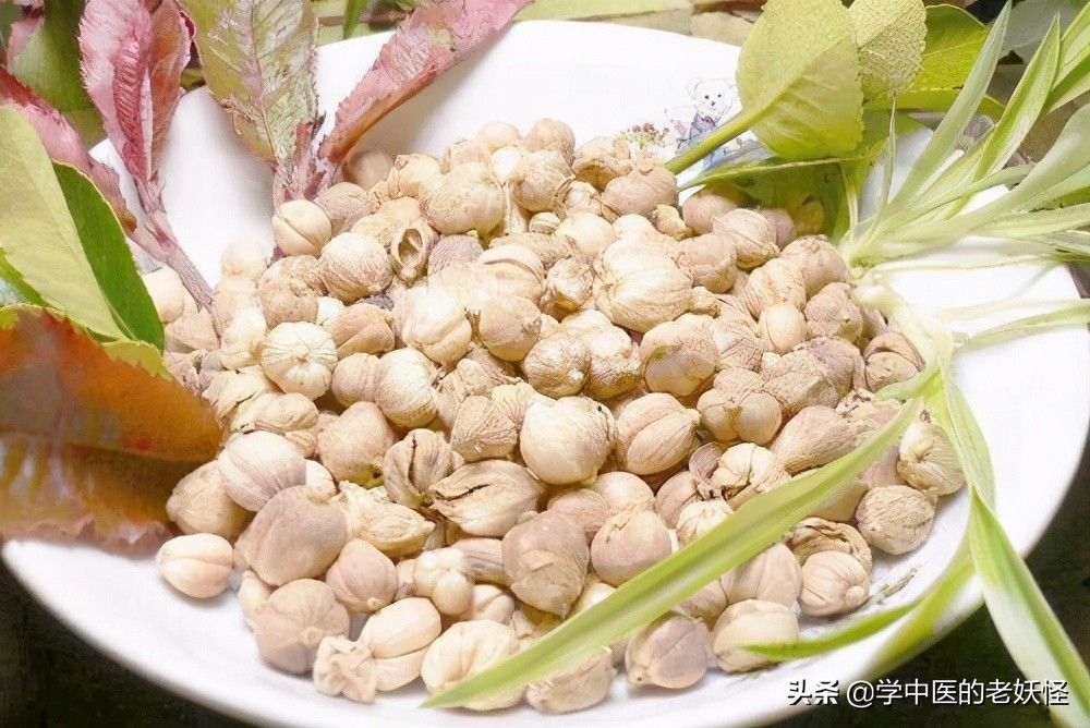 豆蔻是什么植物（豆蔻不仅是成语还是一味化湿药）