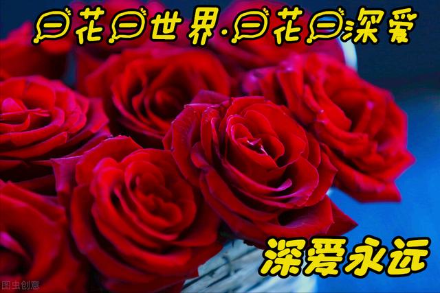 玫瑰花的寓意和象征(20种玫瑰花的寓意)-图1