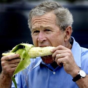 小布什简历(布什为什么叫小布什)-图2