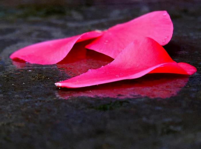 挽回前任最简单的方法（女人挽回前任的时候）