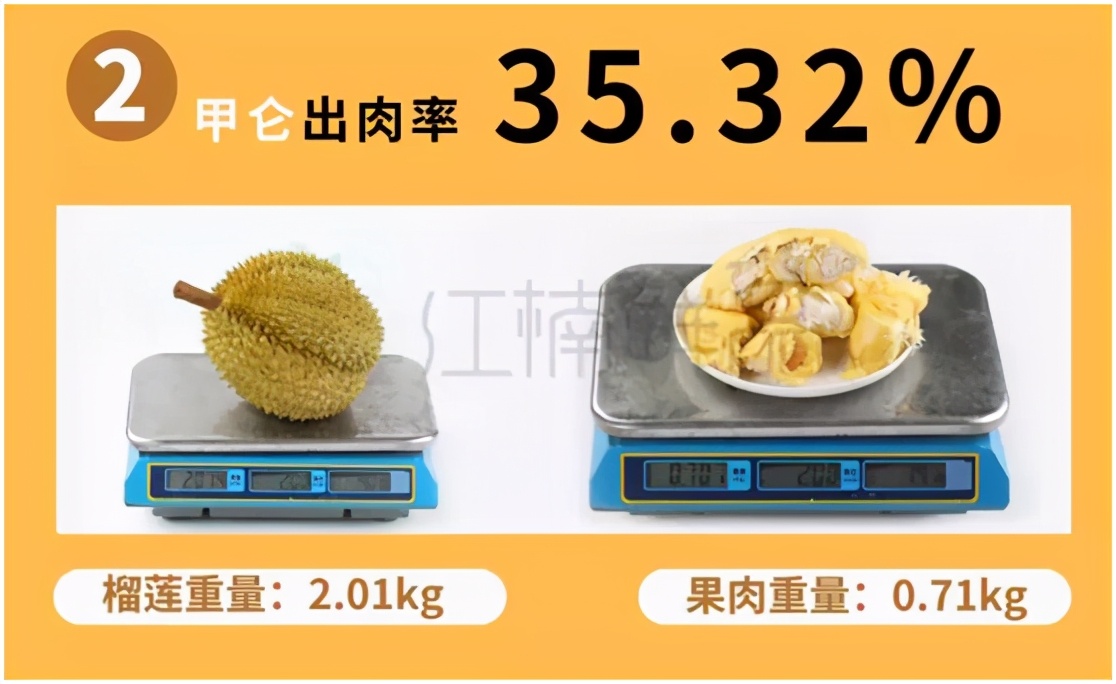 托曼尼榴莲和金枕的区别（图文讲解二者的本质区别）