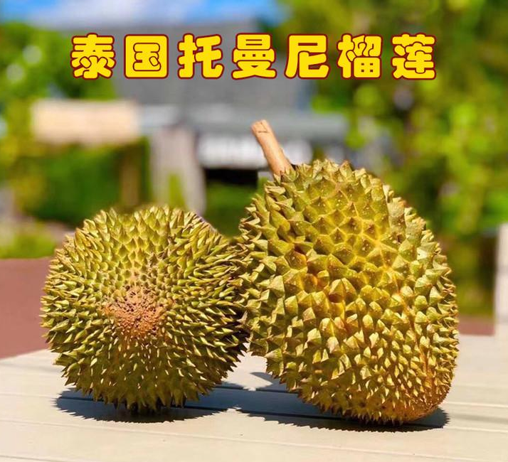 托曼尼榴莲和金枕的区别（图文讲解二者的本质区别）