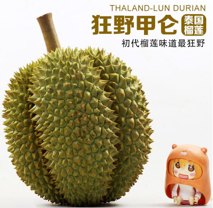 托曼尼榴莲和金枕的区别（图文讲解二者的本质区别）