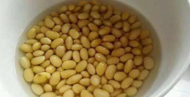 熟黄豆水适合浇什么花（黄豆处理的方法讲解）