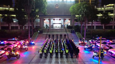 ​重庆开展严打严防春季攻势第二次清查行动，破刑案239起