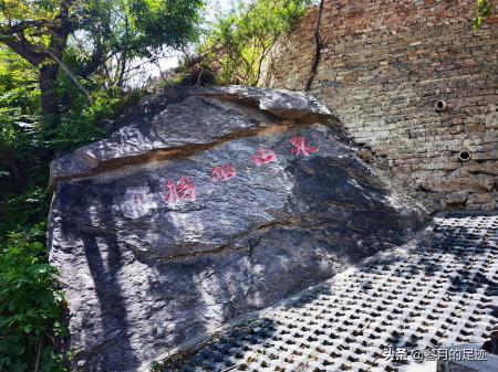 天泰山慈善寺(天泰山慈善寺 视频)-图22