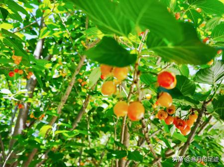 天泰山慈善寺(天泰山慈善寺 视频)-图5