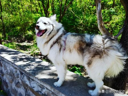 天泰山慈善寺(天泰山慈善寺 视频)-图8