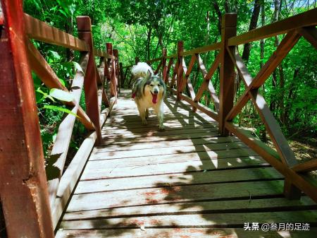 天泰山慈善寺(天泰山慈善寺 视频)-图16