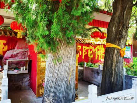 天泰山慈善寺(天泰山慈善寺 视频)-图21