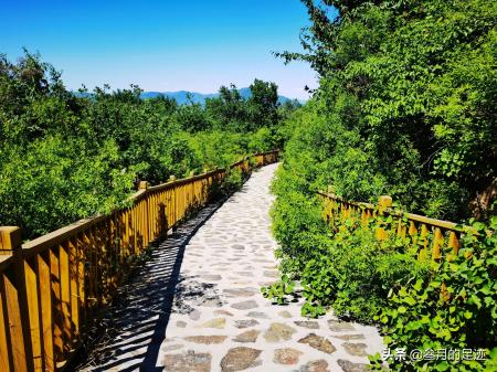 天泰山慈善寺(天泰山慈善寺 视频)-图1