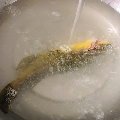 黄甲鱼怎么做好吃（营养又好吃的黄甲鱼做法）