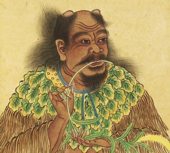 秦始皇姓什么叫什么名字（科普关于秦始皇的小知识）