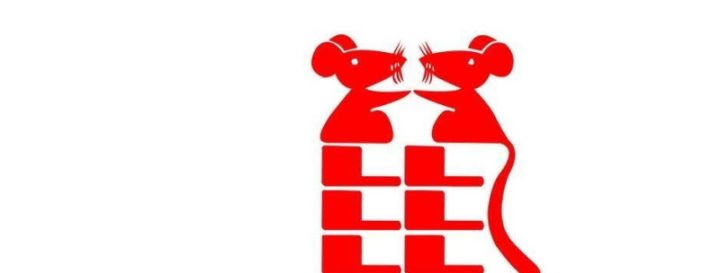 84年属什么（1984年生属于命运解说）