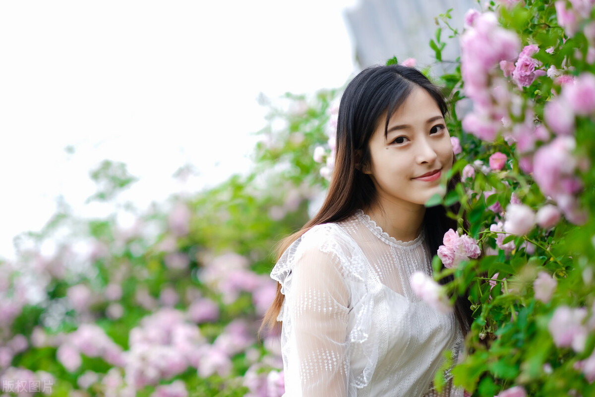 蔷薇花语（不同颜色蔷薇花的花语和寓意介绍）