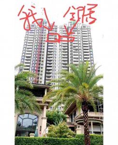 ​她错把邻居家装修了！结局让人意外