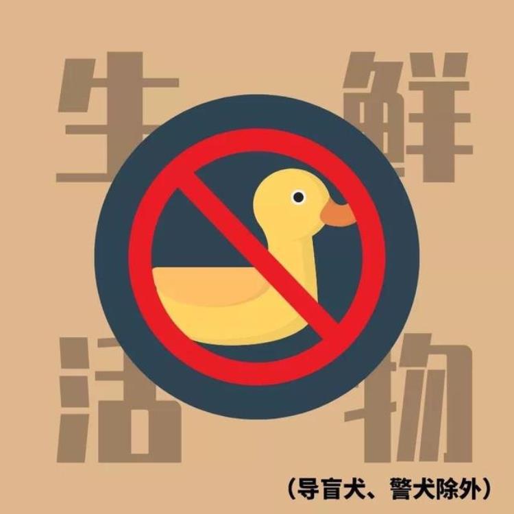 火车可以带香肠腊肉吗「香肠腊肉海鲜白酒可以带上车吗带年货乘地铁指南来了」