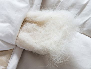 豆豆被和普通棉被有什么区别（豆大豆被和普通棉被的对比）